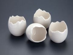 CHÉN SỨ 10X10X10CM (CRETACEOUS BROKEN EGG)