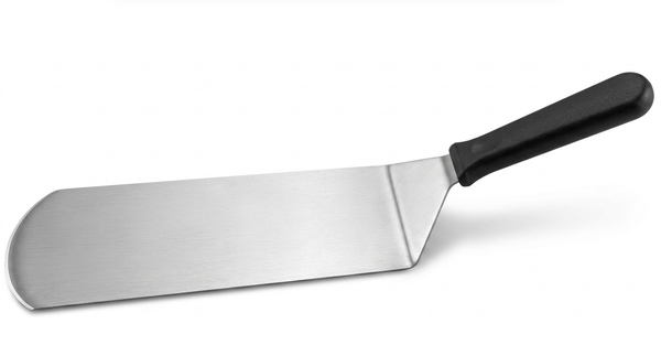 XẺNG W95MM, L250MM (SPATULA)