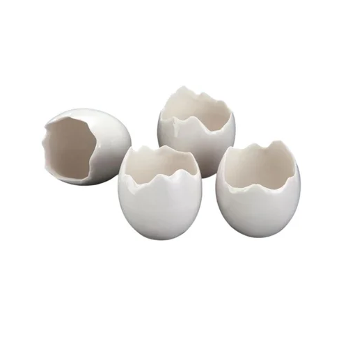 CHÉN SỨ 10X10X10CM (CRETACEOUS BROKEN EGG)