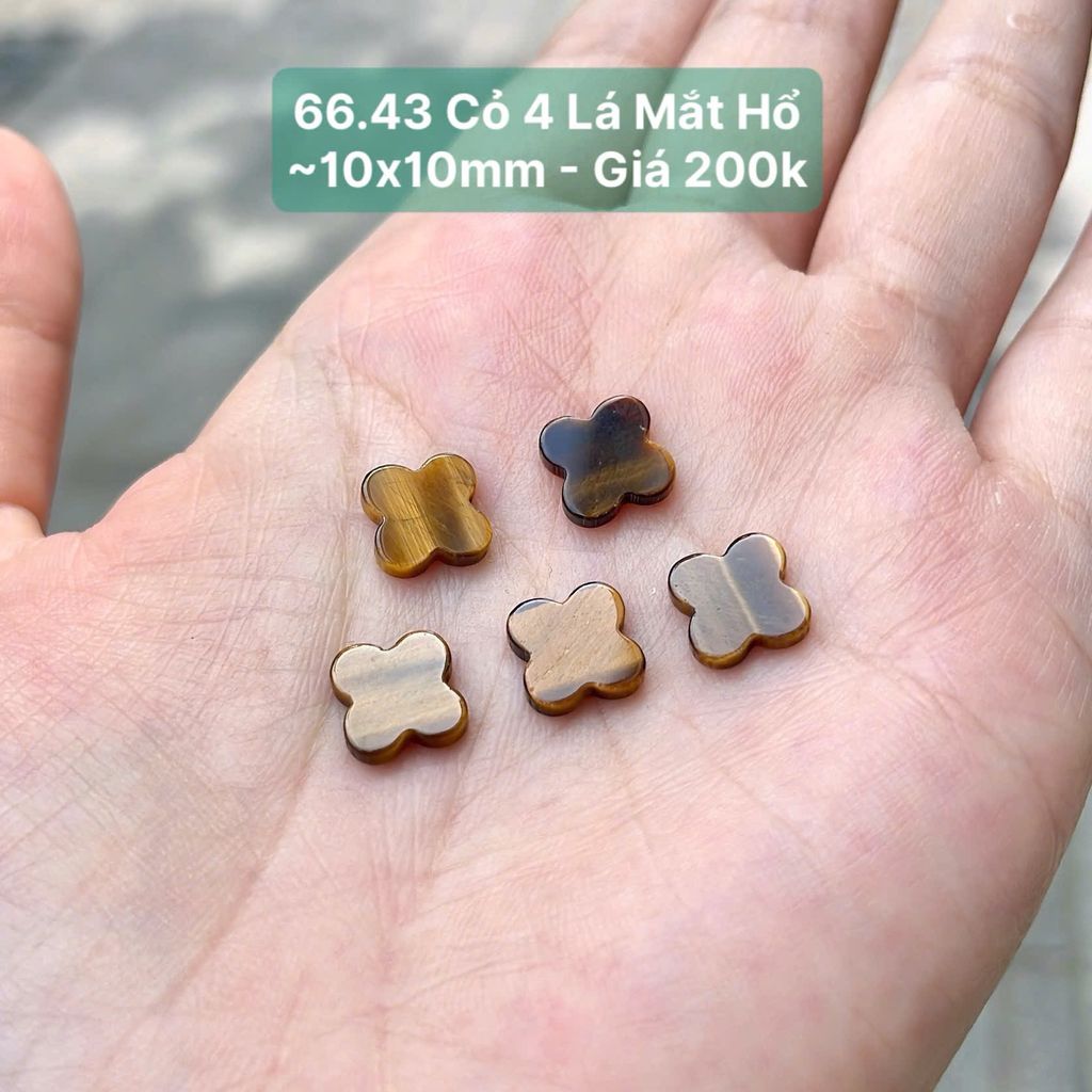 Cỏ 4 Lá Mắt Hổ ~10x10mm 66.43