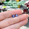 Khuyên tai Blue Sapphire ~5.7mm - Vàng Trắng 14k SK1
