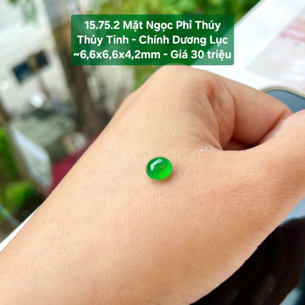 Mặt Ngọc Phỉ Thúy Thủy Tinh - Chính Dương Lục - 15.72.2