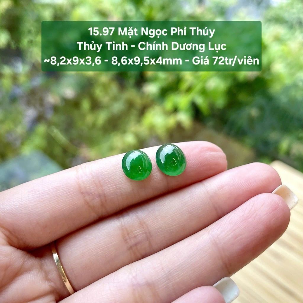Mặt Ngọc Phỉ Thuý Thuỷ Tinh - Chính Dương Lục ~8.2x9x3.6 - 8.6x9.5x4mm - 15.97