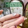 Mặt Ngọc Phỉ Thúy Cao Băng - Lão - Thanh Thủy Lục ~9x10,3x5mm 16.192