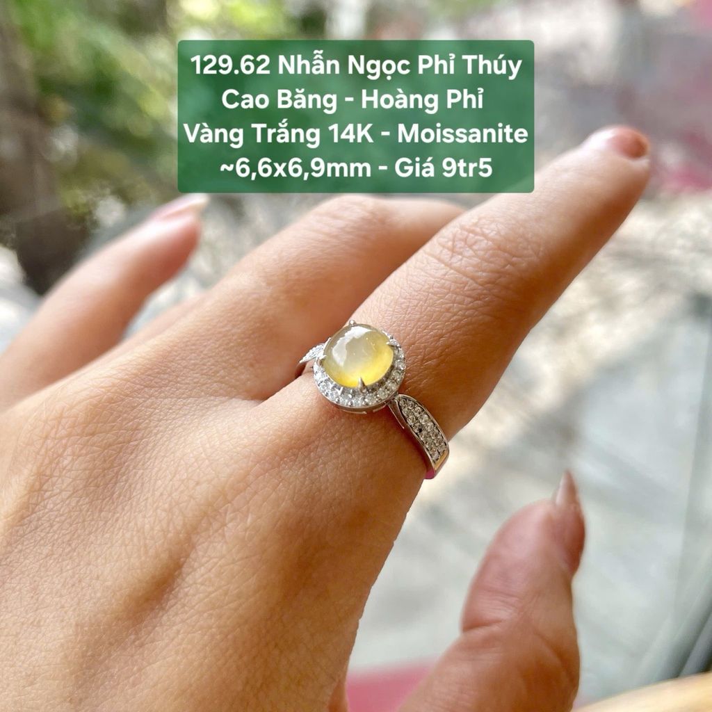 Nhẫn Ngọc Phỉ Thúy Cao Băng - Hoàng Phỉ VT 14K - Moissanite ~6,6x6,9mm 129.62