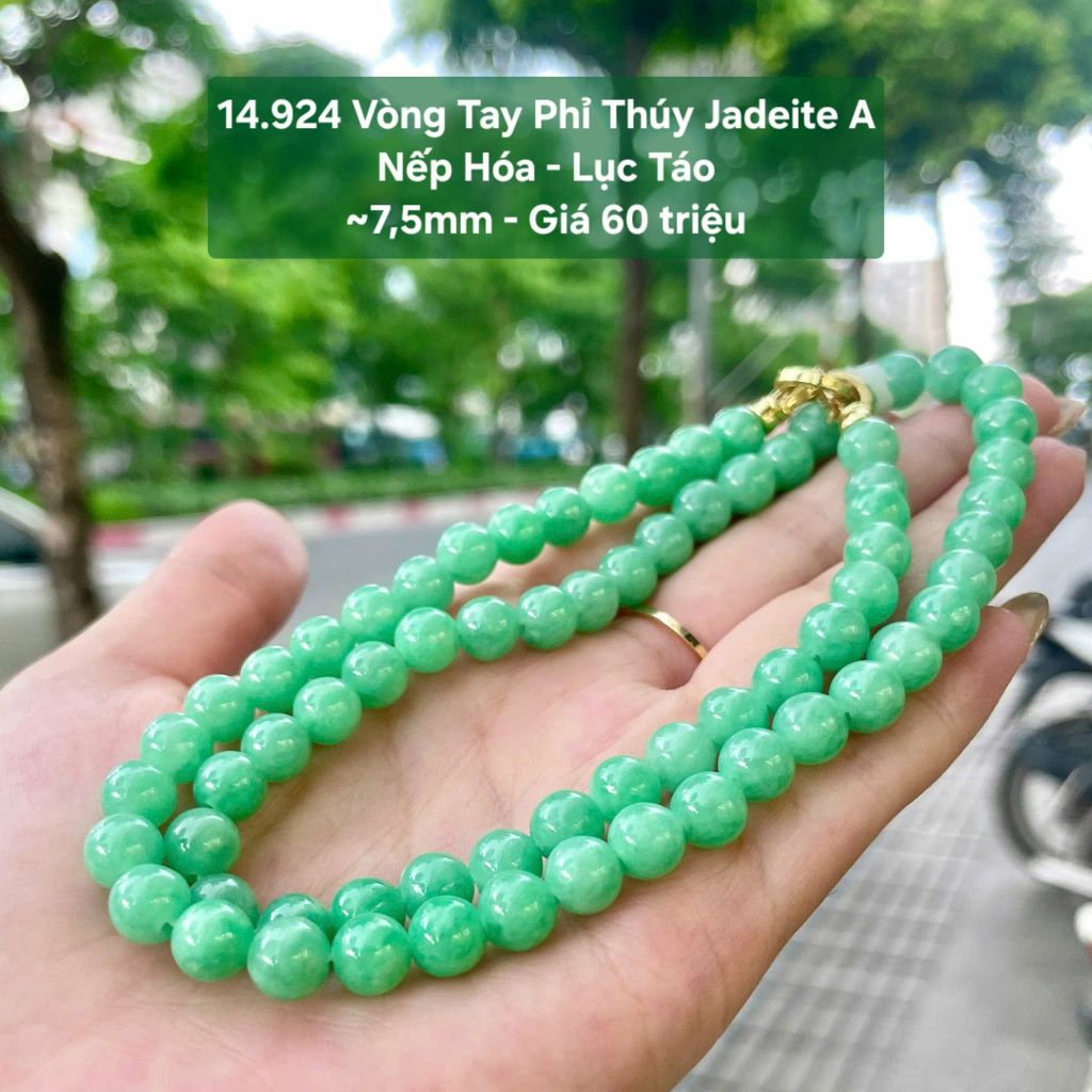 14.924 Vòng Tay Phỉ Thuý Jadeite A - Nếp Hoá - Lục Táo ~7,5mm