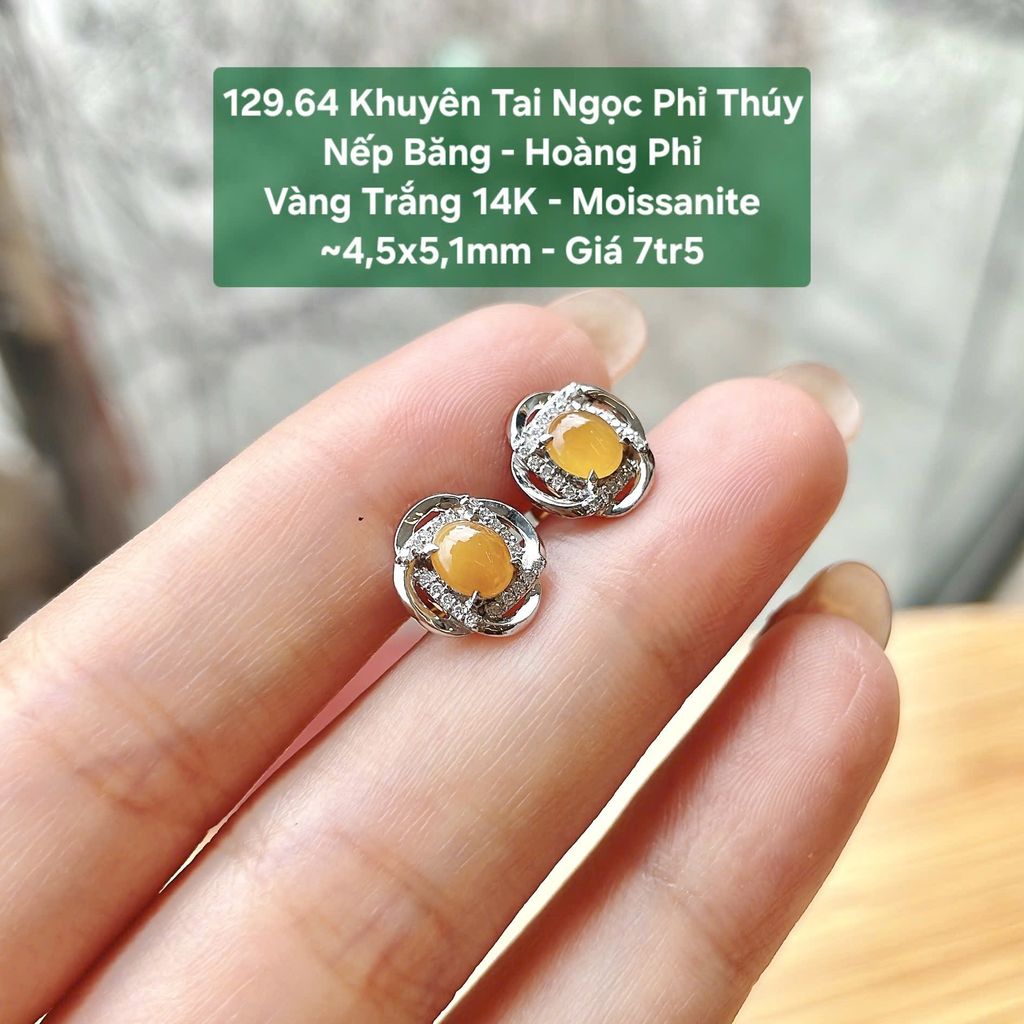 Khuyên Tai Ngọc Phỉ Thúy Nếp Băng - Hoàng Phỉ VT 14K - Moissanite ~4,5x5,1mm 129.64