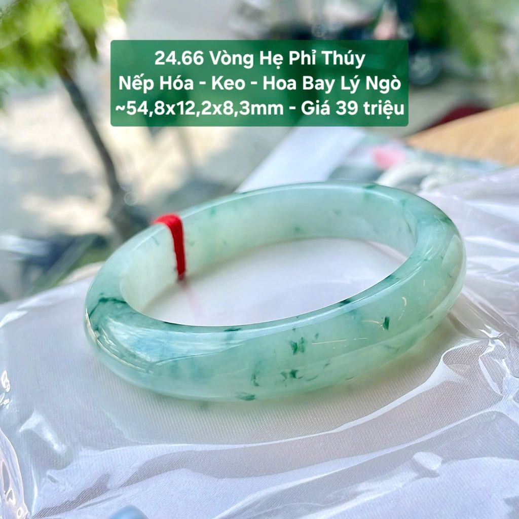 Vòng Hẹ Phỉ Thuý Nếp Hoá - Keo - Hoa Bay Lý Ngò ~54.8x12.2x8.3mm - 24.66