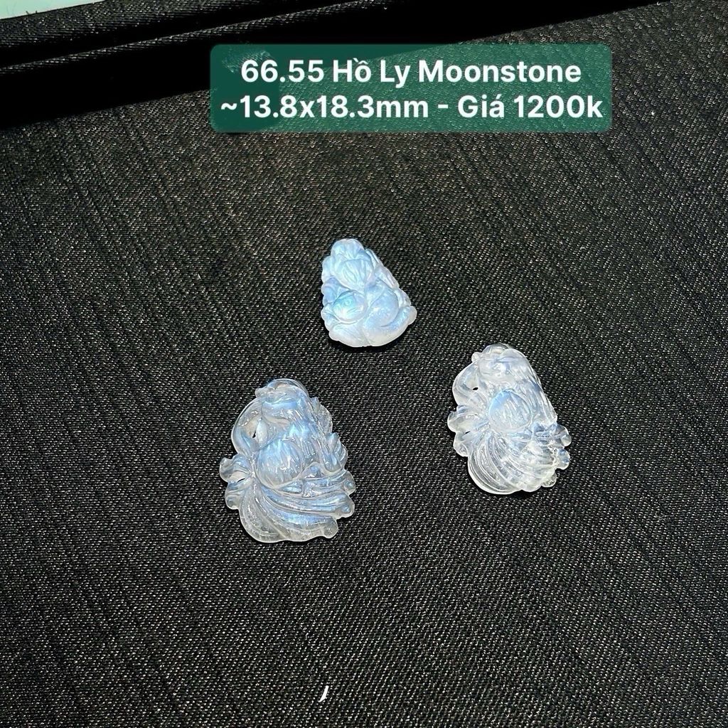 Hồ Ly Moonstone ~13.8x18.3mm 66.55