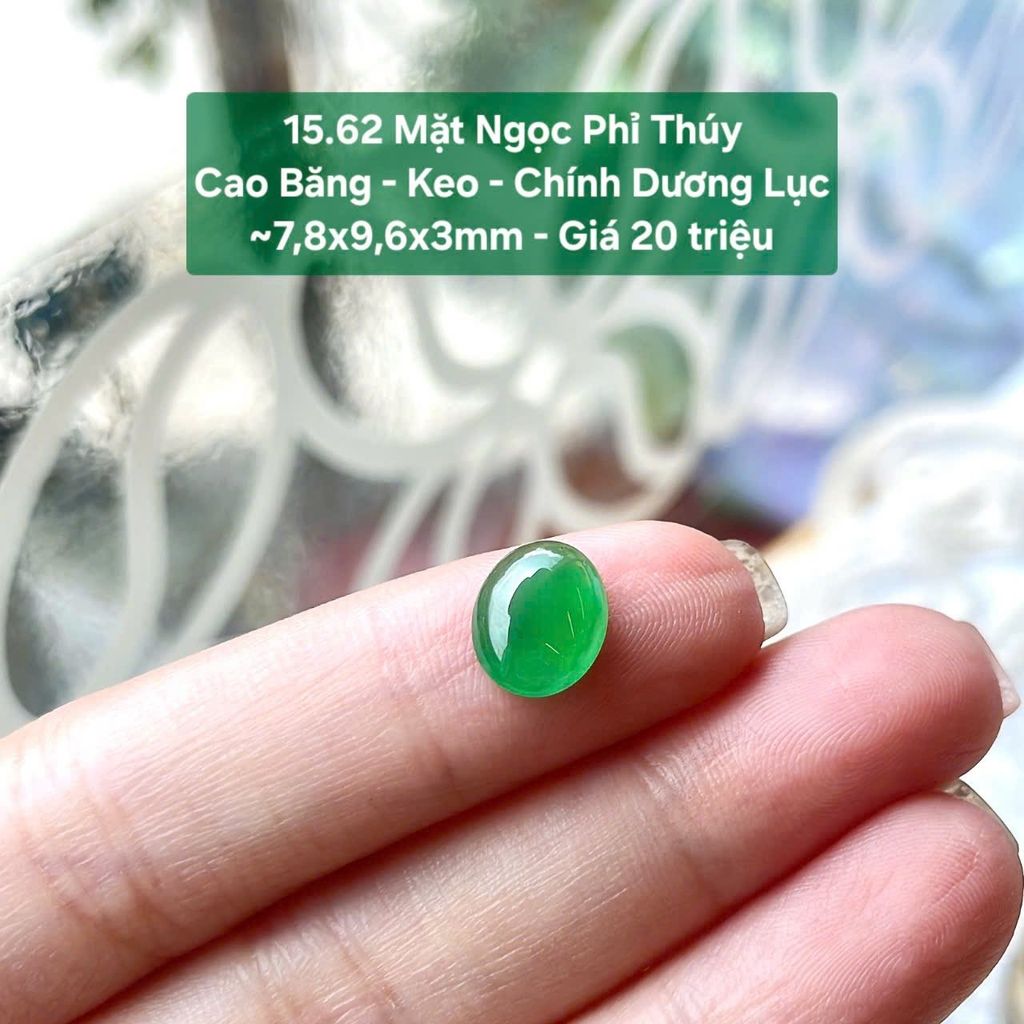 Mặt Ngọc Phỉ Thúy  Cao Băng - Keo - Chính Dương Lục  ~7,8x9,6x3mm 15.62