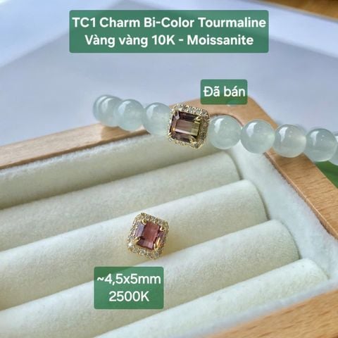 Charm Bi-Color Tourmaline Vàng vàng 10K TC1