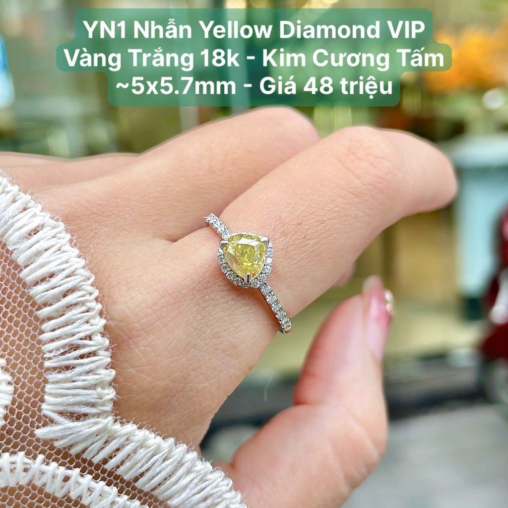 Nhẫn Yellow Diamond VIP  VT 18k - Kim Cương Tấm  ~5x5.7mm YN1
