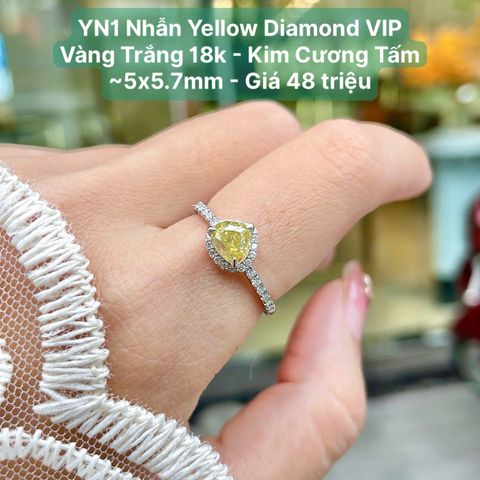 Nhẫn Yellow Diamond VIP  VT 18k - Kim Cương Tấm  ~5x5.7mm YN1
