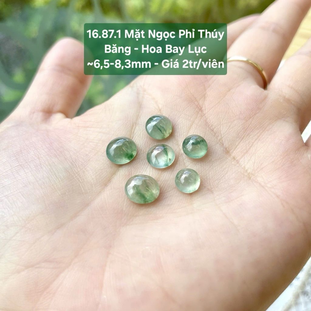 Mặt Ngọc Phỉ Thuý Băng - Hoa Bay Lục ~6.5-8.3mm - 16.87.1