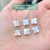 Cỏ 4 Lá Ngọc Trai ~10x10mm 66.44