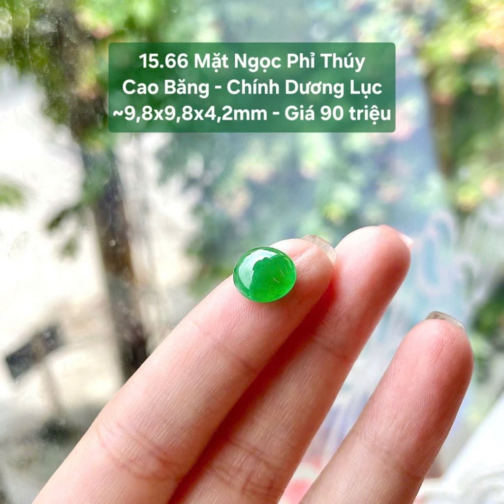 Mặt Ngọc Phỉ Thúy  Cao Băng - Chính Dương Lục  ~9,8x9,8x4,2mm 15.66