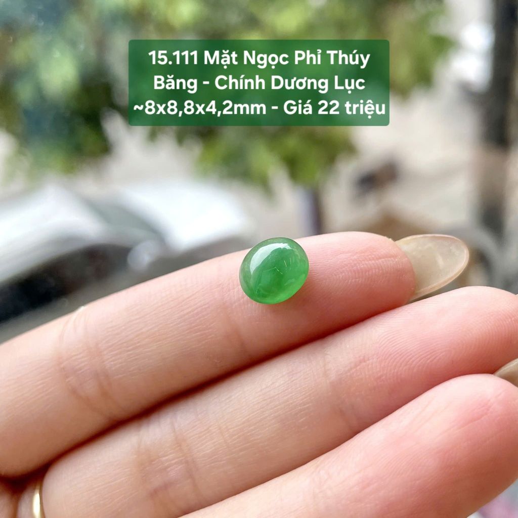 Mặt Ngọc Phỉ Thúy Băng - Chính Dương Lục ~8x8,8x4,2mm 15.111