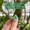 132.8 Nhẫn Hồ Lô Phỉ Thuý Jadeite A Thuỷ Tinh - Đế Vương Lục - VT18K - KC Tấm ~ 7,2x10mm