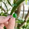 132.11 Mặt Dây & Nhẫn Phỉ Thuý Jadeite A Thuỷ Tinh - Đế Vương Lục - VT18K - KC Tấm ~ 10,3x11,3mm