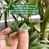 132.3 Nhẫn Phỉ Thuý Jadeite A Thuỷ Tinh - Đế Vương Lục - VT18K -KC Tấm - 6,3x7,5mm