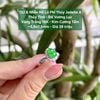 132.6 Nhẫn Hồ Lô Phỉ Thuý Jadeite A Thuỷ Tinh - Đế Vương Lục - VT18K - KC Tấm ~ 5,8 x 7,5mm