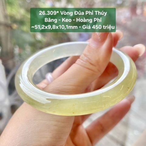Vòng Đũa Phỉ Thuý Băng - Keo - Hoàng Phỉ ~51,2x9,8x10,1mm 26.309*