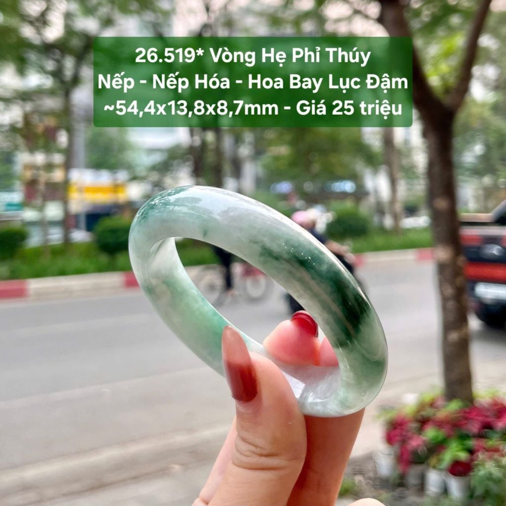 26.519* Vòng Hẹ Phỉ Thúy Nếp - Nếp Hóa - Hoa Bay Lục Đậm ~54,4x13,8x8,7mm