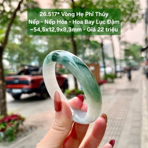 26.517* Vòng Hẹ Phỉ Thúy Nếp - Nếp Hóa - Hoa Bay Lục Đậm ~54,5x12,9x8,3mm