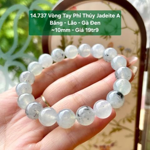 14.737 Vòng Tay Phỉ Thuý Jadeite A - Băng - Lão - Gà Đen ~10mm