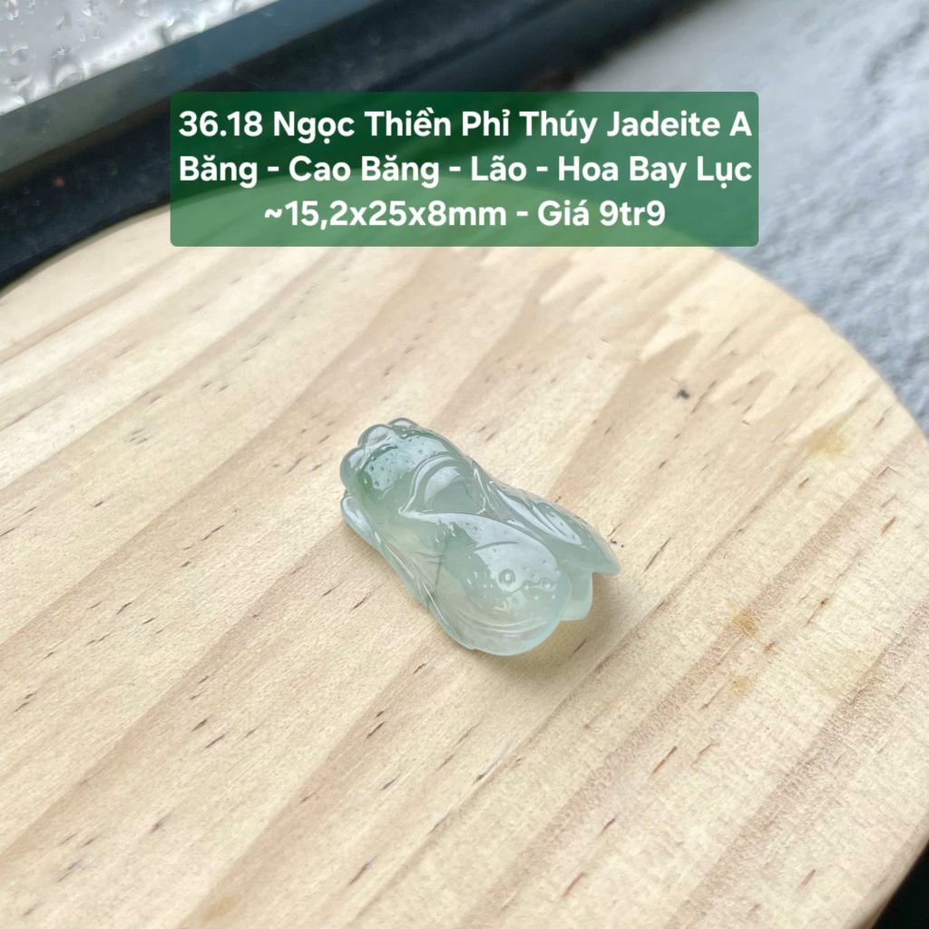 Ngọc Thiền Phi Thúy Jadeite A Bằng - Cao Băng - Lão - Hoa Bay Lục ~15,2x25x8mm 36.18
