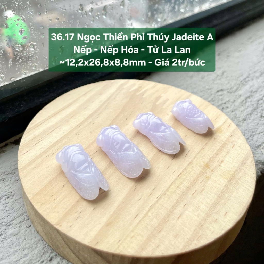 Ngọc Thiền Phỉ Thúy Jadeite A Nếp - Nếp Hóa - Tử La Lan ~12,2x26,8x8,8mm 36.17