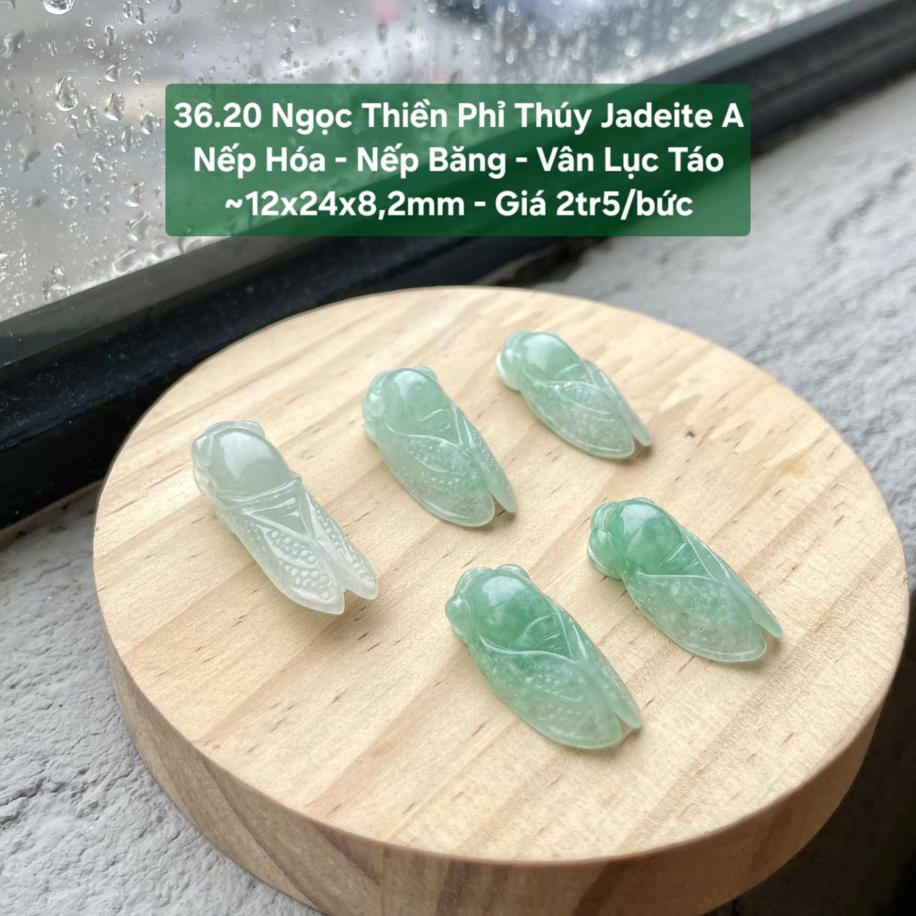 Ngọc Thiền Phỉ Thúy Jadeite A Nếp Hóa - Nếp Băng - Vân Lục Táo ~12x24x8,2mm 36.20