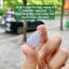 32.99 Tỳ Hưu Phỉ Thuý Jadeite A - Nếp Hoá Lão - Tím - VV18K- KC Tấm ~14x17x7mm