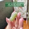 31.97 Cửu Vĩ Hồ Ly Phỉ Thuý Jadeite A - Nếp -  Nếp Hoá - Hoàng Phỉ ~14x28,8x9,2mm
