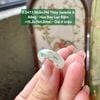 5.247.1 Nhẫn Phỉ Thuý Jadeite A - Băng-  Hoa Bay Lục Đậm ~15,2x7x4,2mm