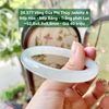 26.577 Vòng Đũa Phỉ Thuý Jadeite A - Nếp Hoá - Nếp Băng - Trắng Phớt Lục ~52,8x8,8x8,8mm