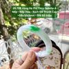 26.728 Vòng Hẹ Phỉ Thuý Jadeite A- Nếp -Nếp Hoá - Bạch Đế Thanh Cay ~58x12x9mm