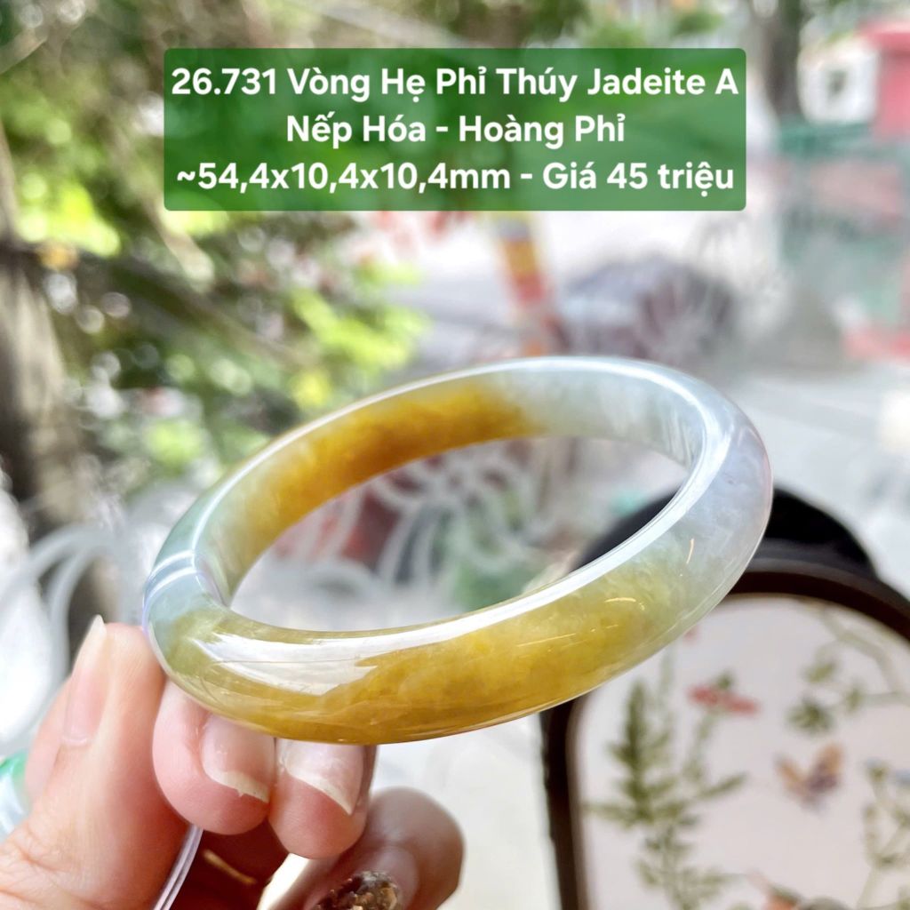 26.731 Vòng Hẹ Phỉ Thuý Jadeite A- Nếp Hoá - Hoàng Phỉ ~ 54,4x10,4x10,4mm