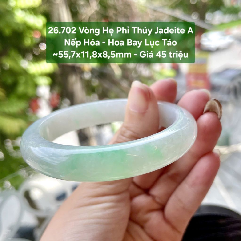 26.702 Vòng Hẹ Phỉ Thuý Jadeite A- Nếp Hoá - Hoa Bay Lục Táo ~55,7x11,8x8,5mm