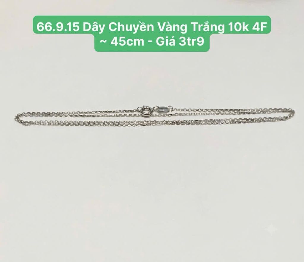 66.9.15 Dây Chuyền VT10K 4F ~  45cm