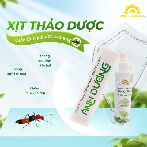  Tinh Dầu Xua Đuổi Côn Trùng Ánh Dương 