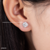 Khuyên tai bạc Việt Nam Classic Radiance đính Kim Cương Moissanite | Cáo Bạc