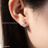  Khuyên tai bạc Việt Nam xi vàng trắng Starlight Echo đính Kim Cương Moissanite | Cáo Bạc 