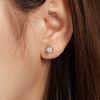 Khuyên tai bạc Việt Nam Moissanite 5 li viền móng ngựa | Cáo Bạc