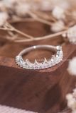 Lẻ nữ nhẫn đôi bạc ta Diamond Crown Couple Rings (300) 