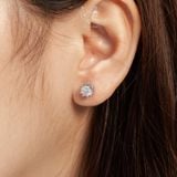  Khuyên tai bạc Việt Nam xi vàng trắng Crown đính Kim Cương Moissanite 5 li | Cáo Bạc 