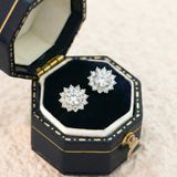  Khuyên tai bạc Việt Nam xi vàng trắng đính Kim Cương Moissanite 6,5 li Sunshine cánh hoa rực rỡ | Cáo Bạc 