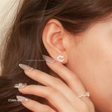  Khuyên bạc ta nguyệt quế sao 