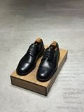  GALLUS 41-41,5 