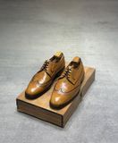  𝐌𝐈𝐒𝐎𝐏𝐄 41 